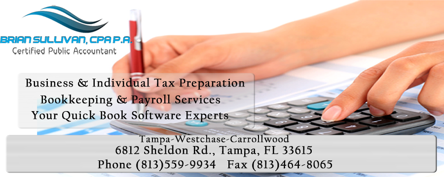 Brian Sullivan CPA in Tampa, FL (2)