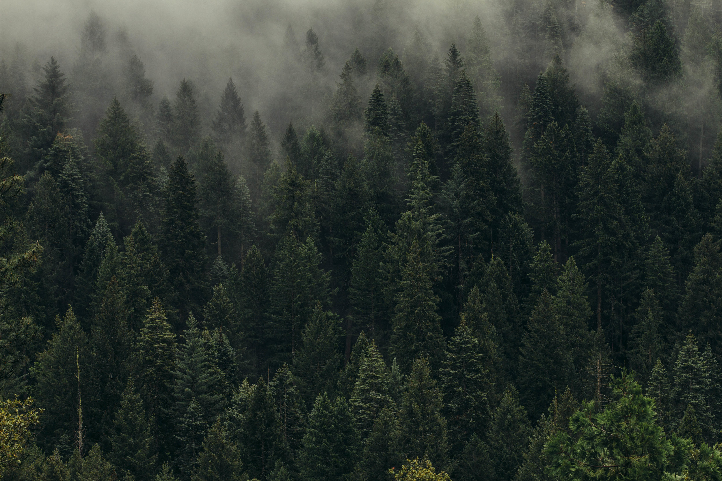 EVERGREEN Estate Planning & Elder Law in Elkin, NC