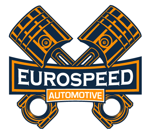 Mobile Mechanic - Eurospeed Automotive in Tampa, FL (6)