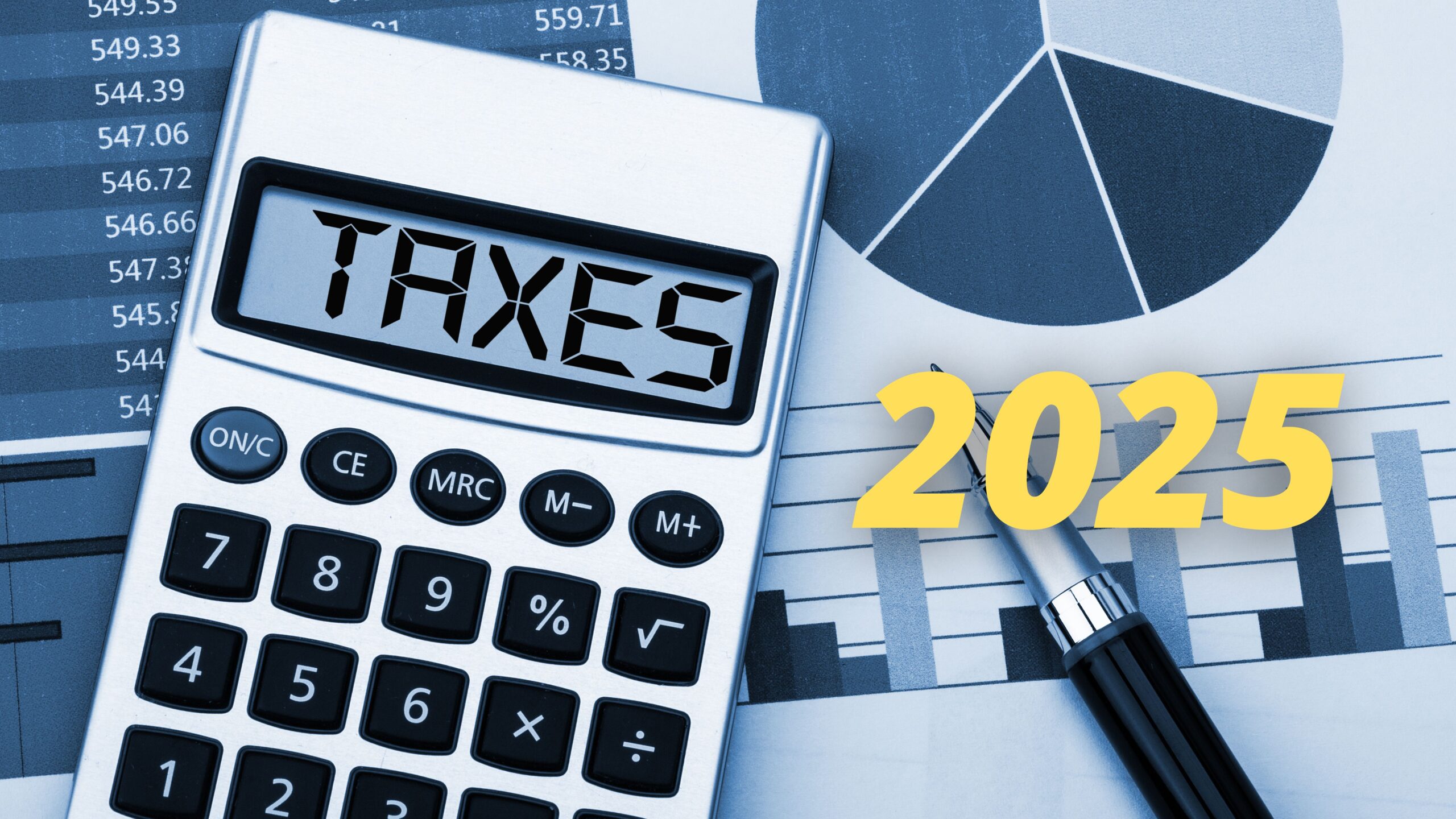 SMC TAX & ACCOUNTING INC in Valencia, CA (5)