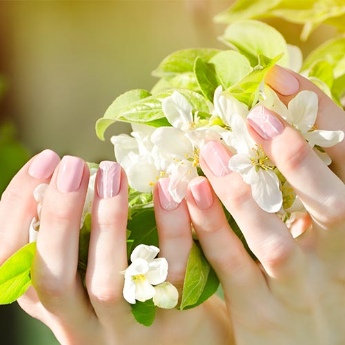 Allure Nails & Spa Ballantyne in Charlotte, NC (3)