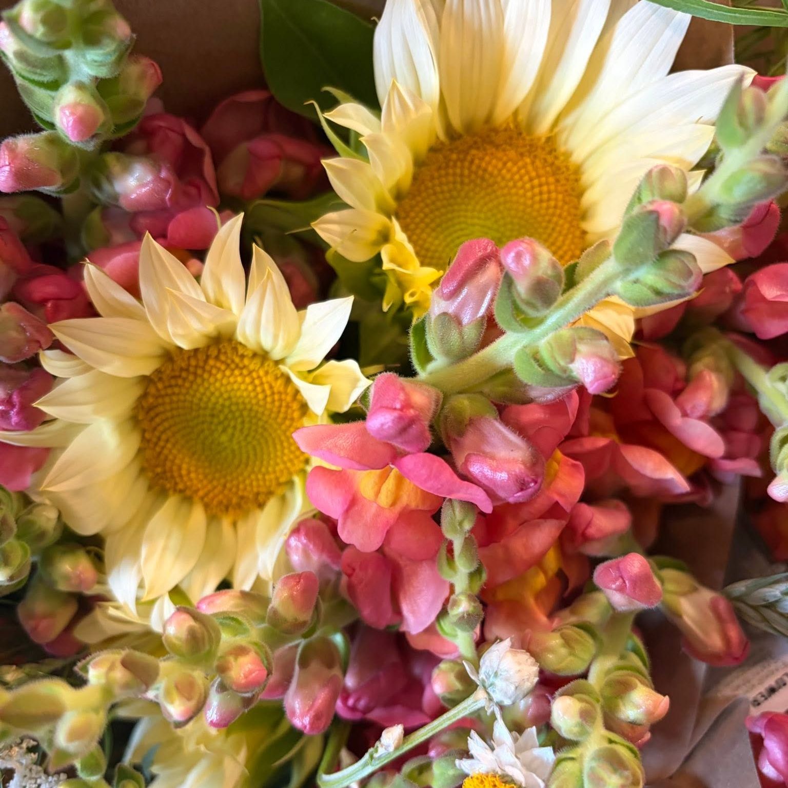 Mineral Point Market in Mineral Point, WI (4)