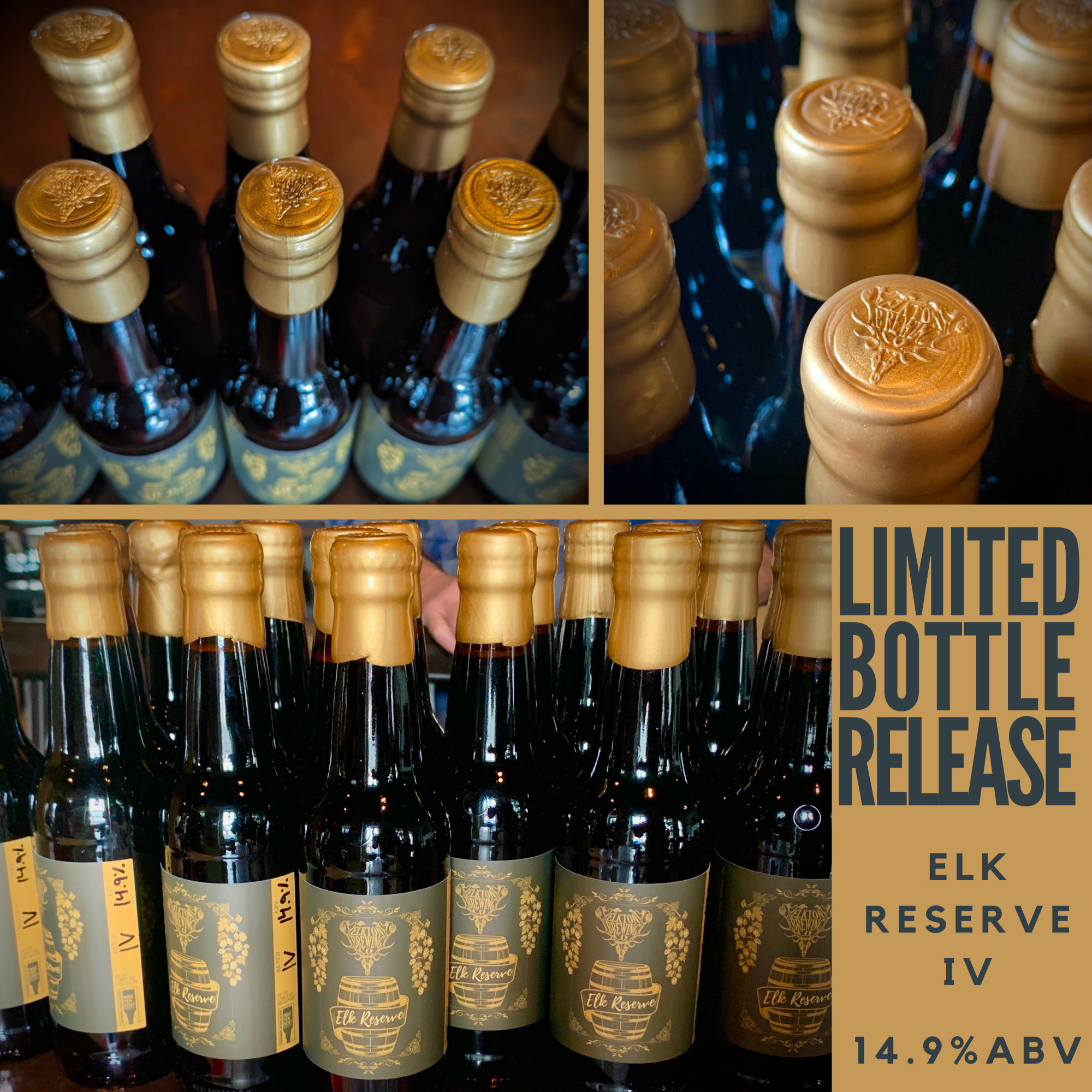 Elkton Brewing Co. in Elkton, VA (2)