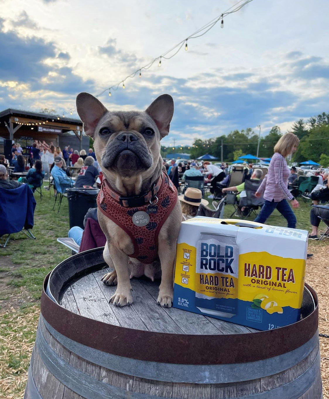 Bold Rock Mills River Cidery in Mills River, NC (2)