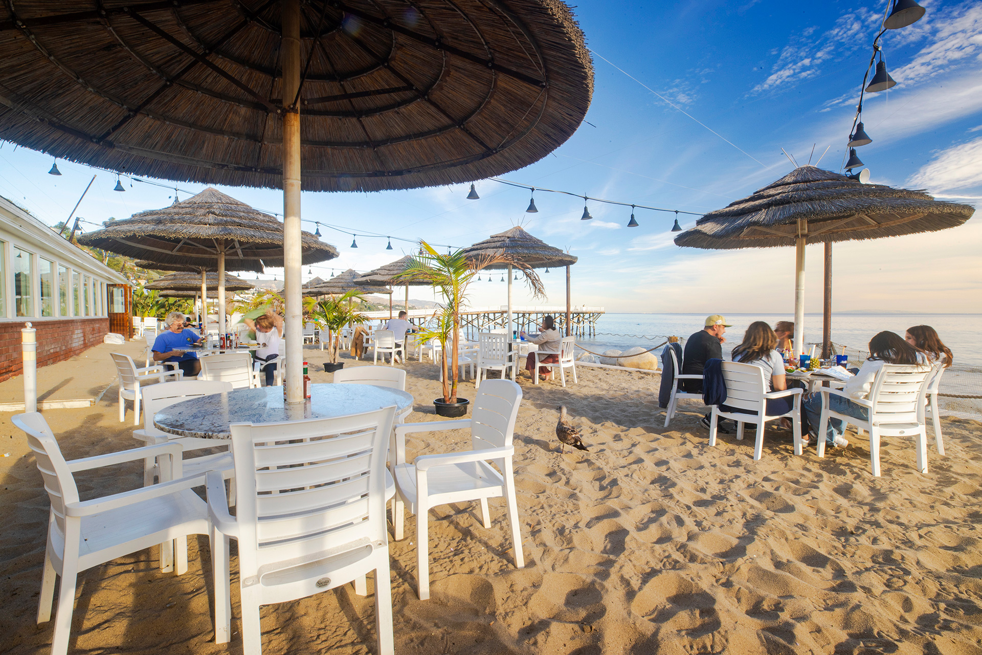 Paradise Cove Beach Café in Malibu, CA (6)