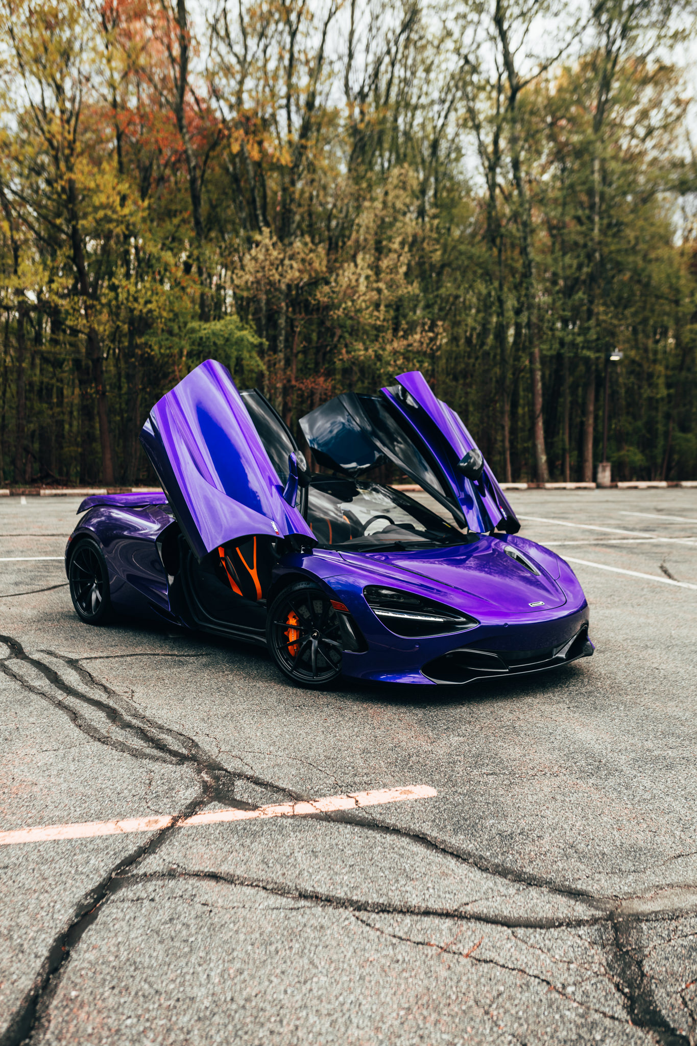 NextGen Automotive - Car Vinyl Wrapping | Auto Detailing | Ceramic Coating | Performance | Autobody & Collision in Nyack, NY