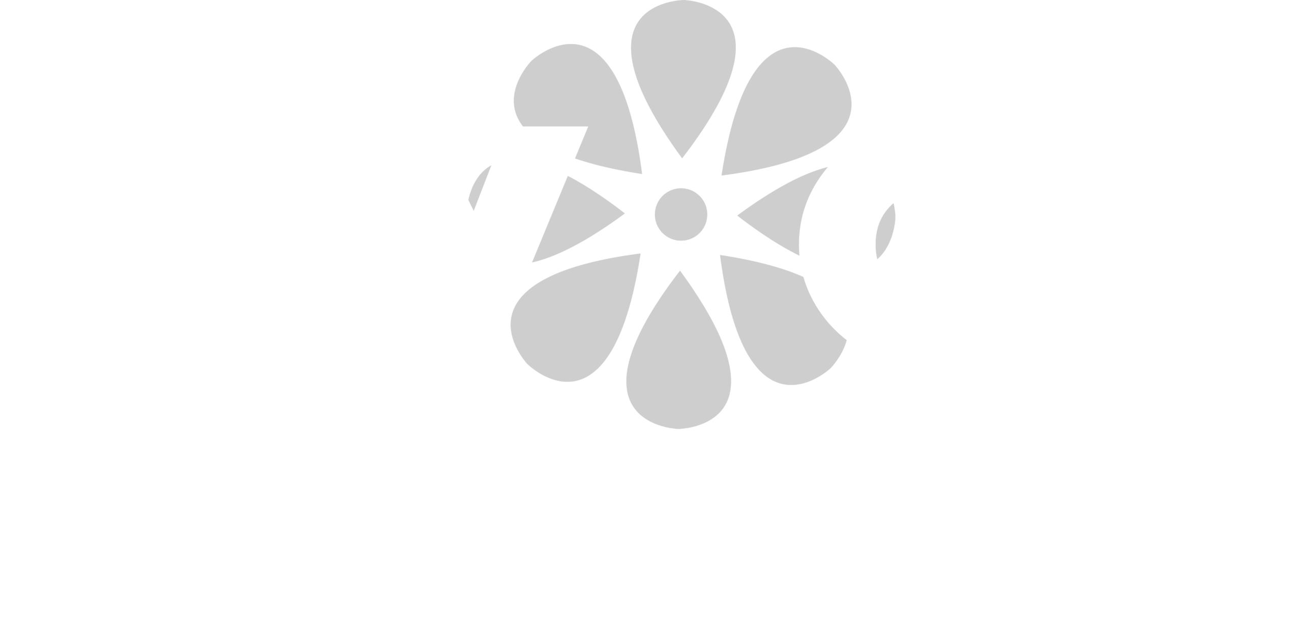 DW Consulting Agency, LLC in Haltom City, TX (5)