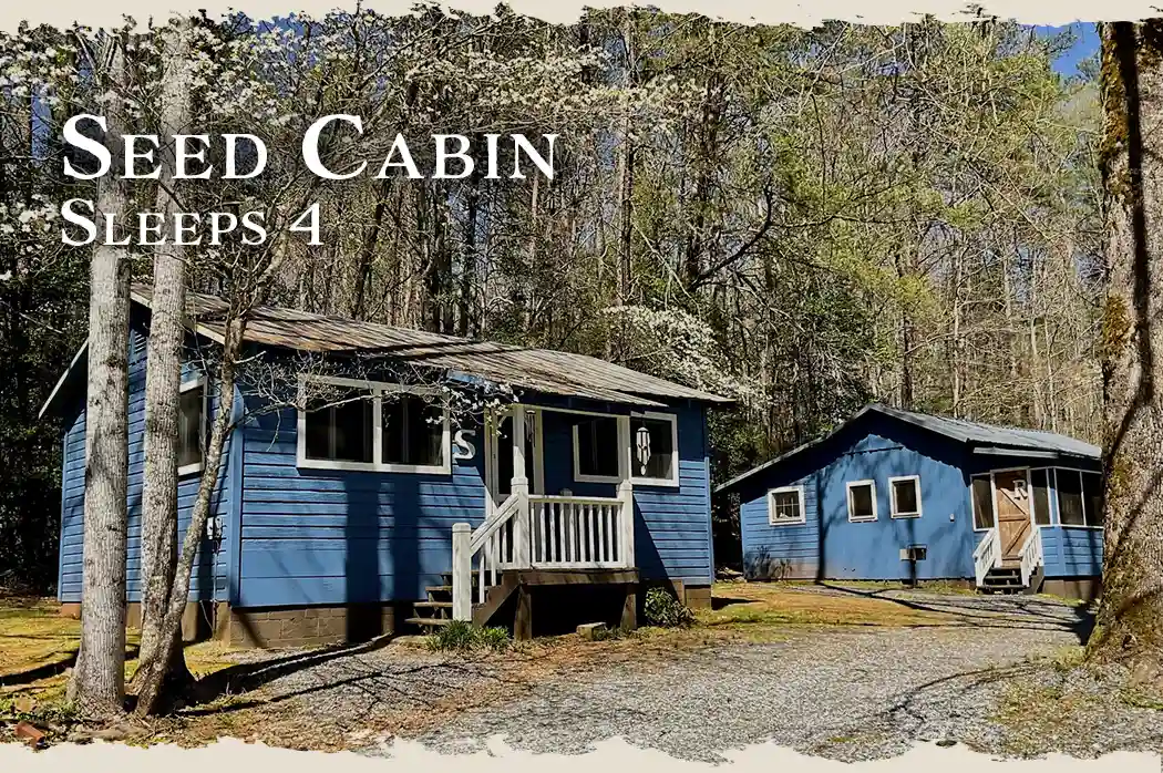 Bleu Canoe in Clarkesville, GA
