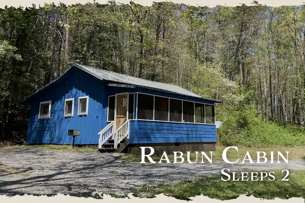 Bleu Canoe in Clarkesville, GA (6)