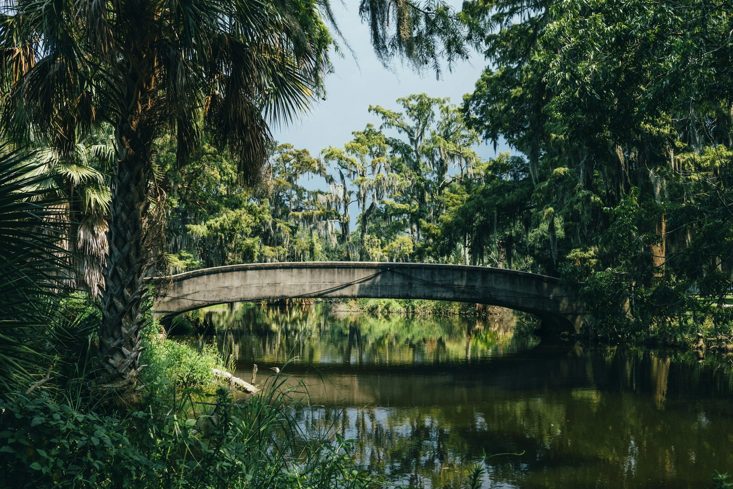Audubon Tax and CPA Services in New Orleans, LA