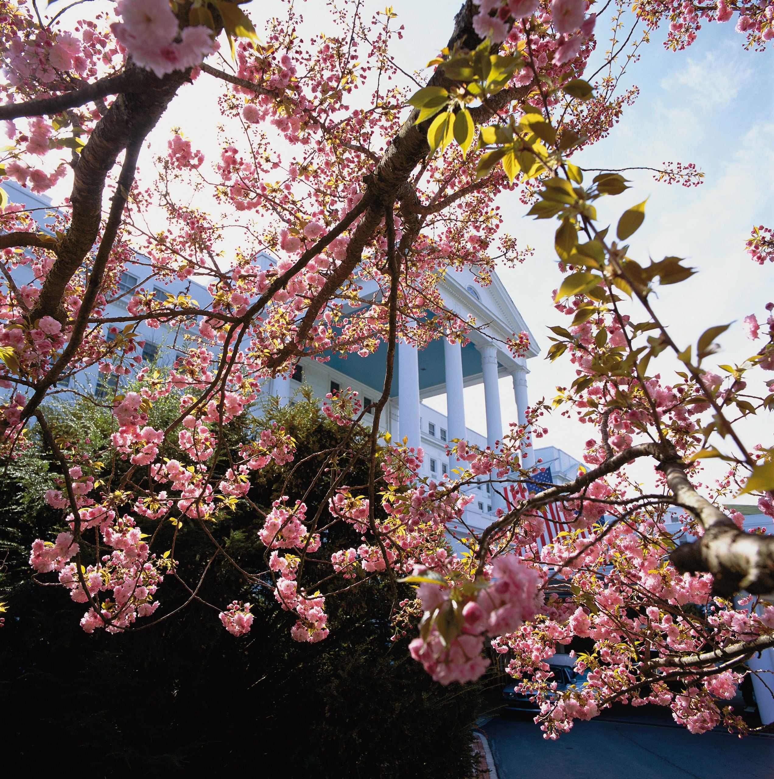 The Greenbrier in White Sulphur Springs, WV (4)