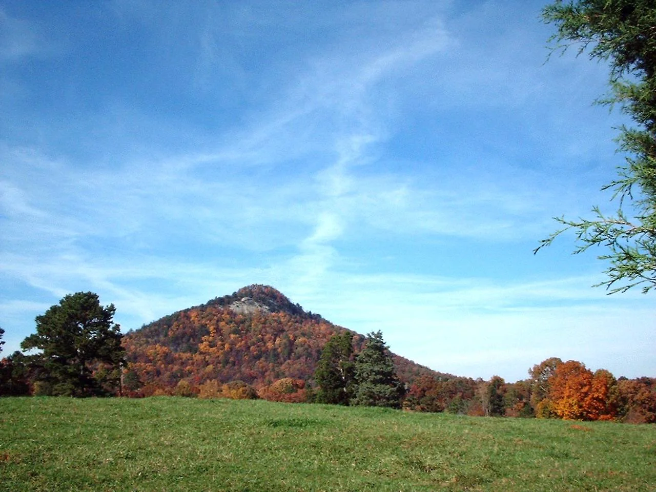 Toccoa-Stephens County Chamber of Commerce in Toccoa, GA (5)