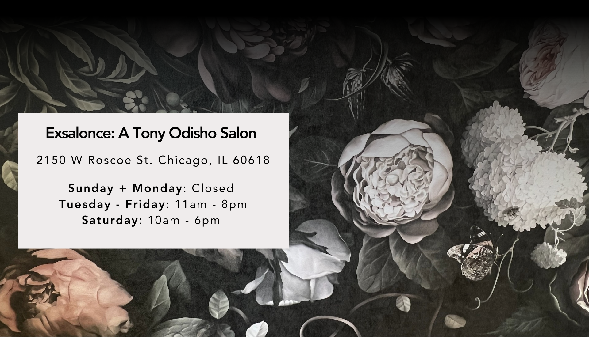 Exsalonce Salon in Chicago, IL