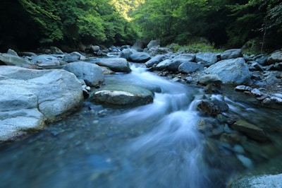 Laura J Ray LLC - Attorney at Law in Blue Ridge, GA