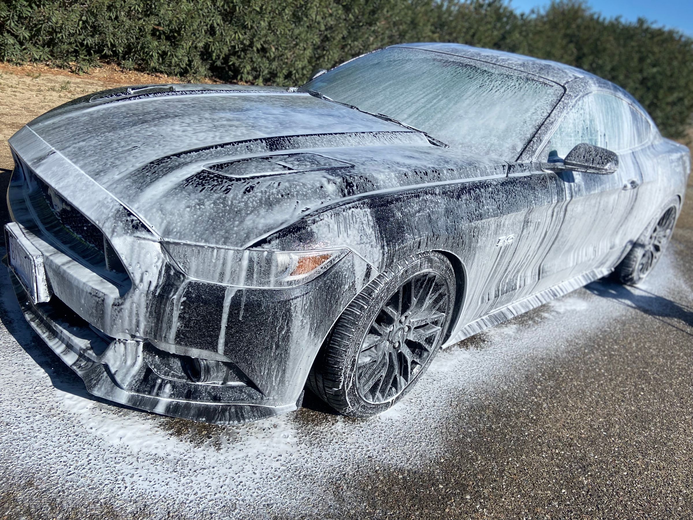 Mad Touch Mobile Auto Detailing in Darwin, CA (2)