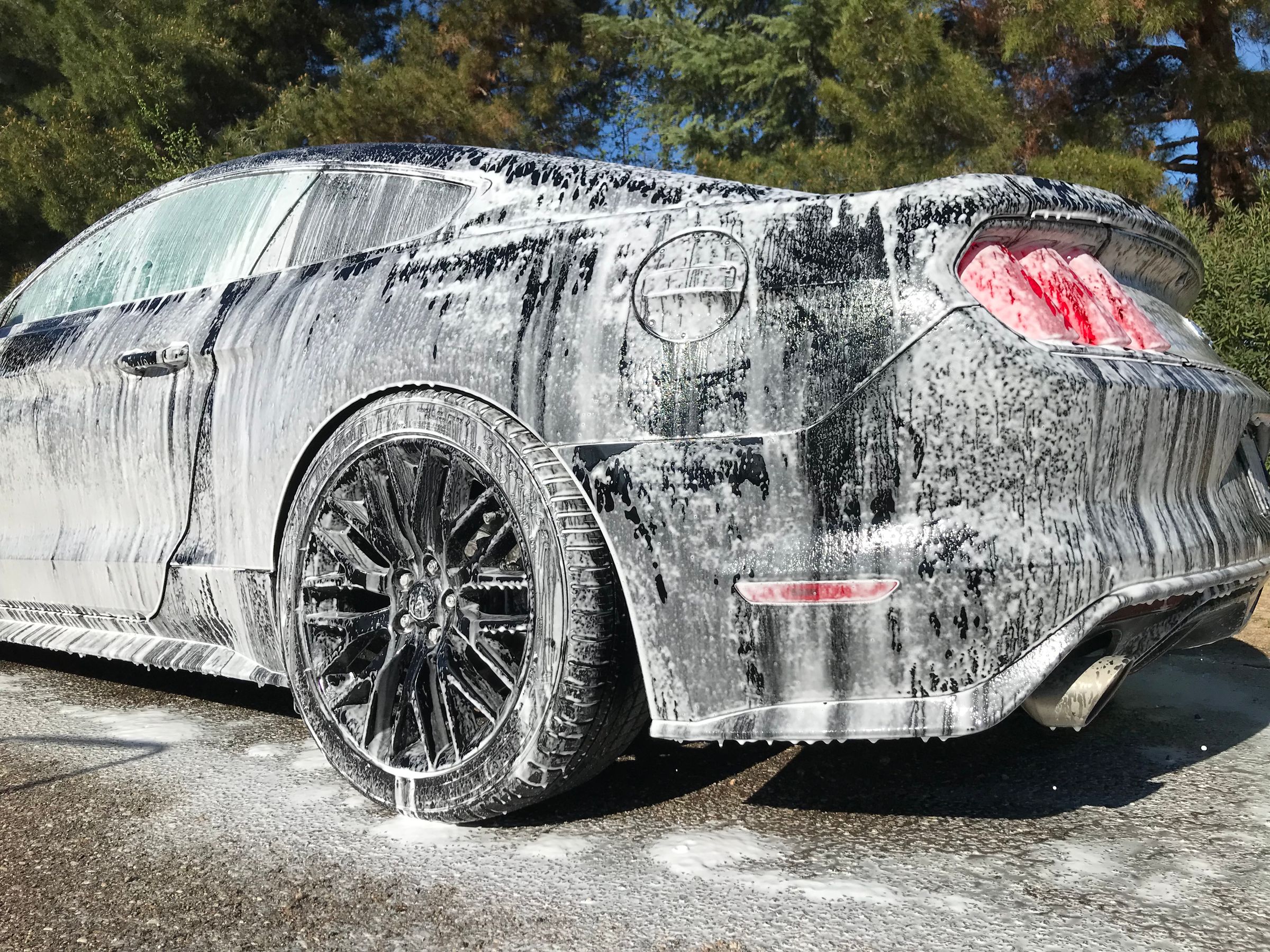 Mad Touch Mobile Auto Detailing in Darwin, CA (3)