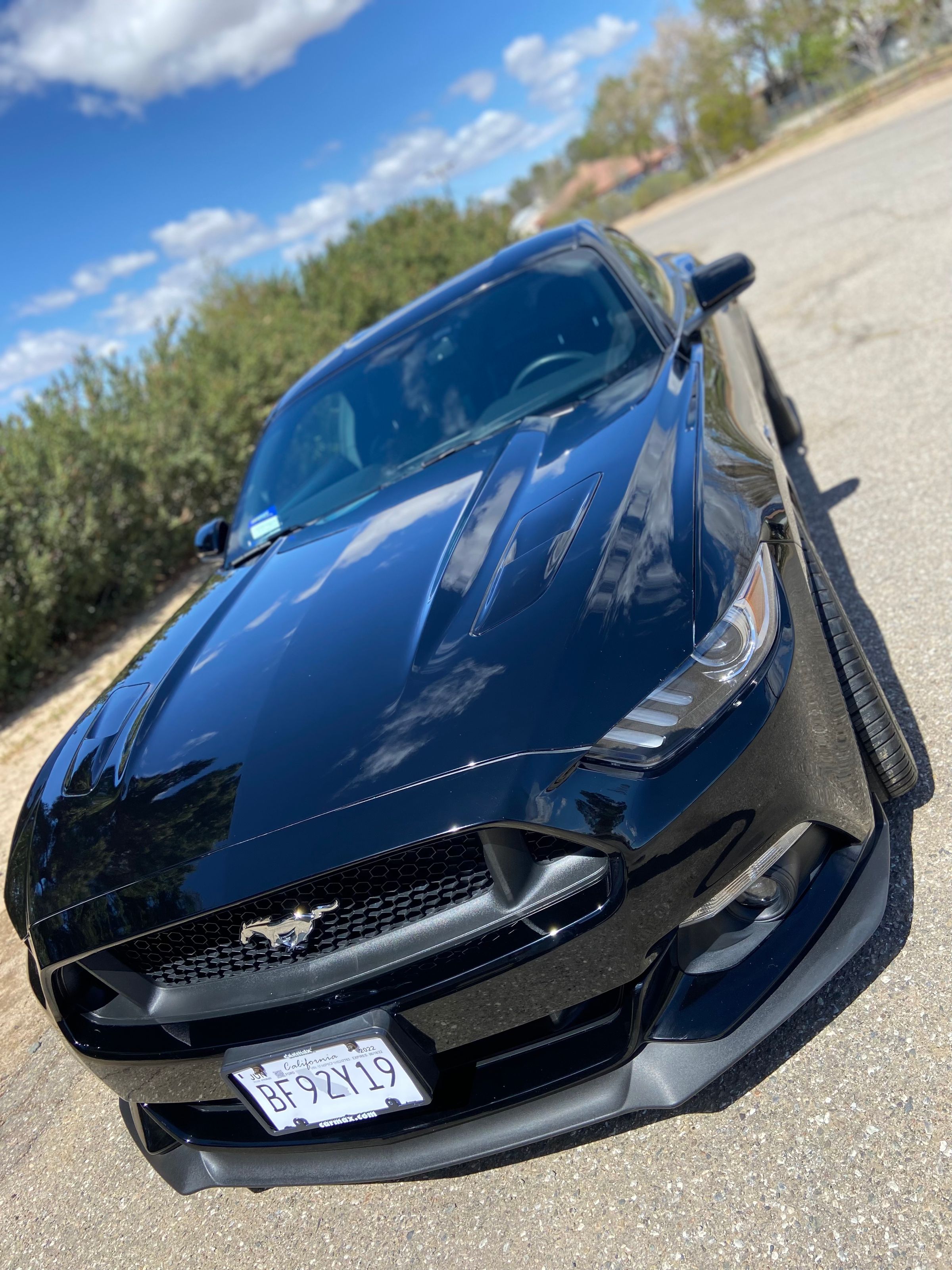 Mad Touch Mobile Auto Detailing in Darwin, CA (4)