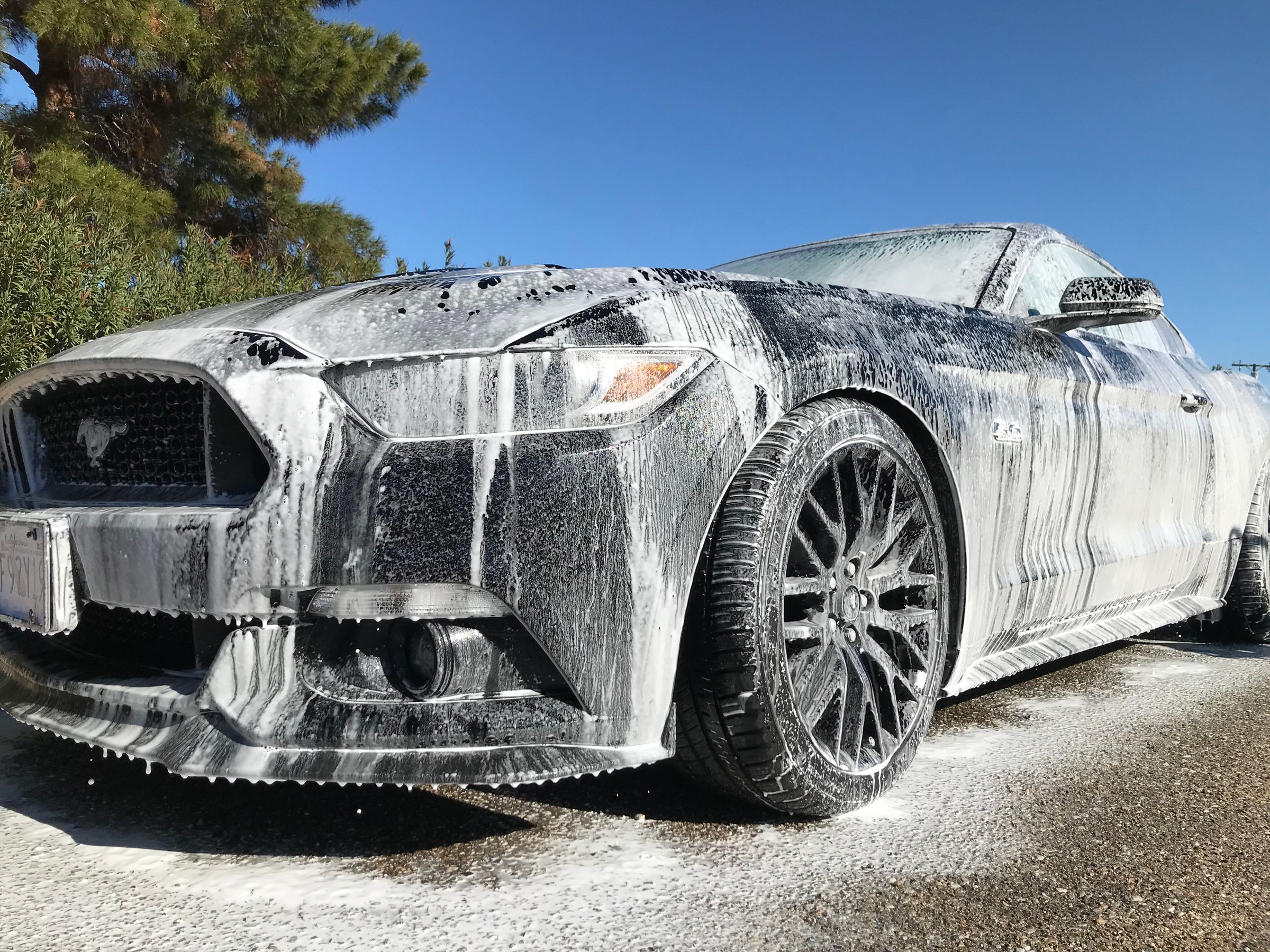 Mad Touch Mobile Auto Detailing in Darwin, CA (5)