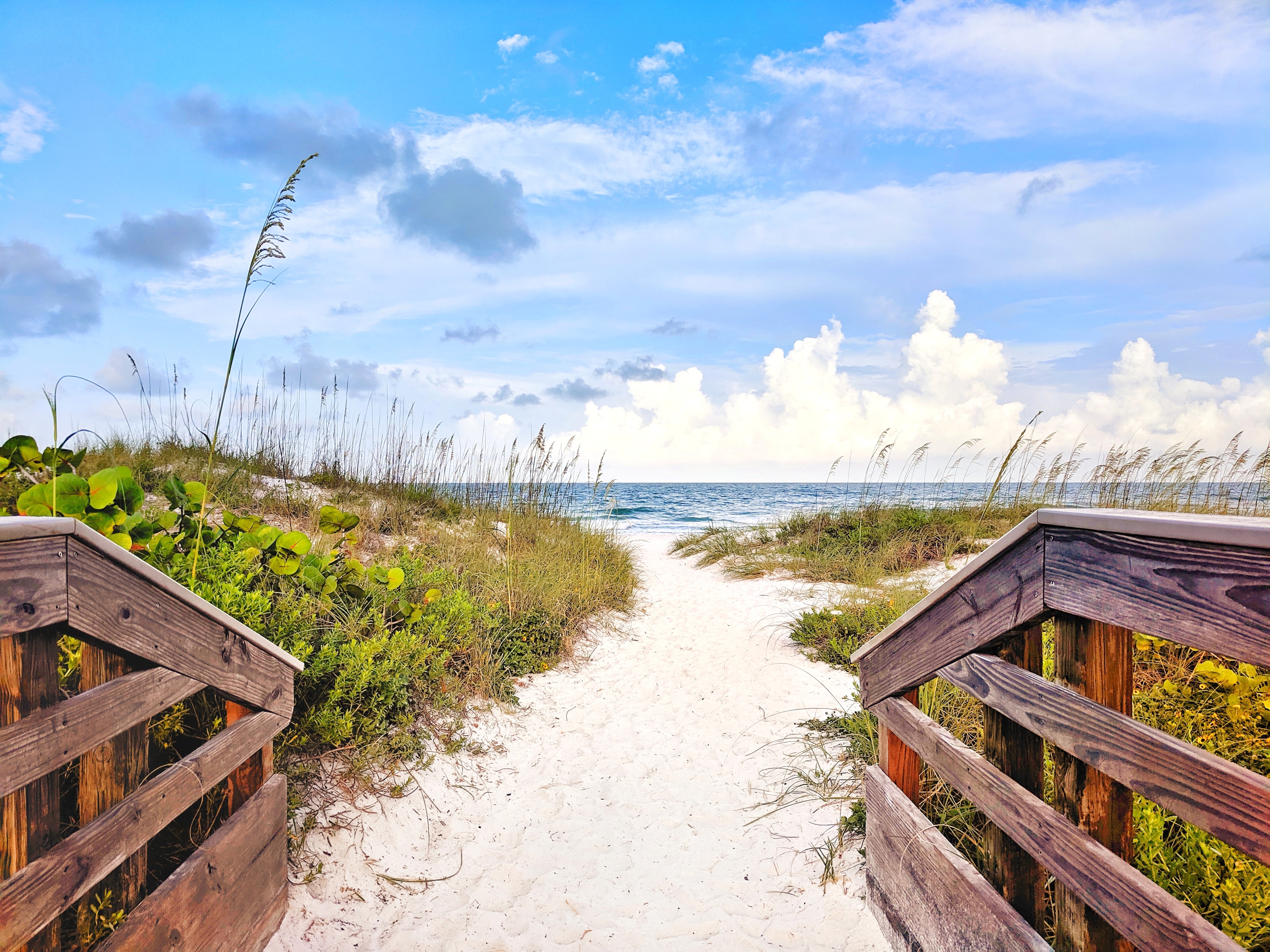 Savvy Realtors | SWFL Real Estate Team in Punta Gorda, FL