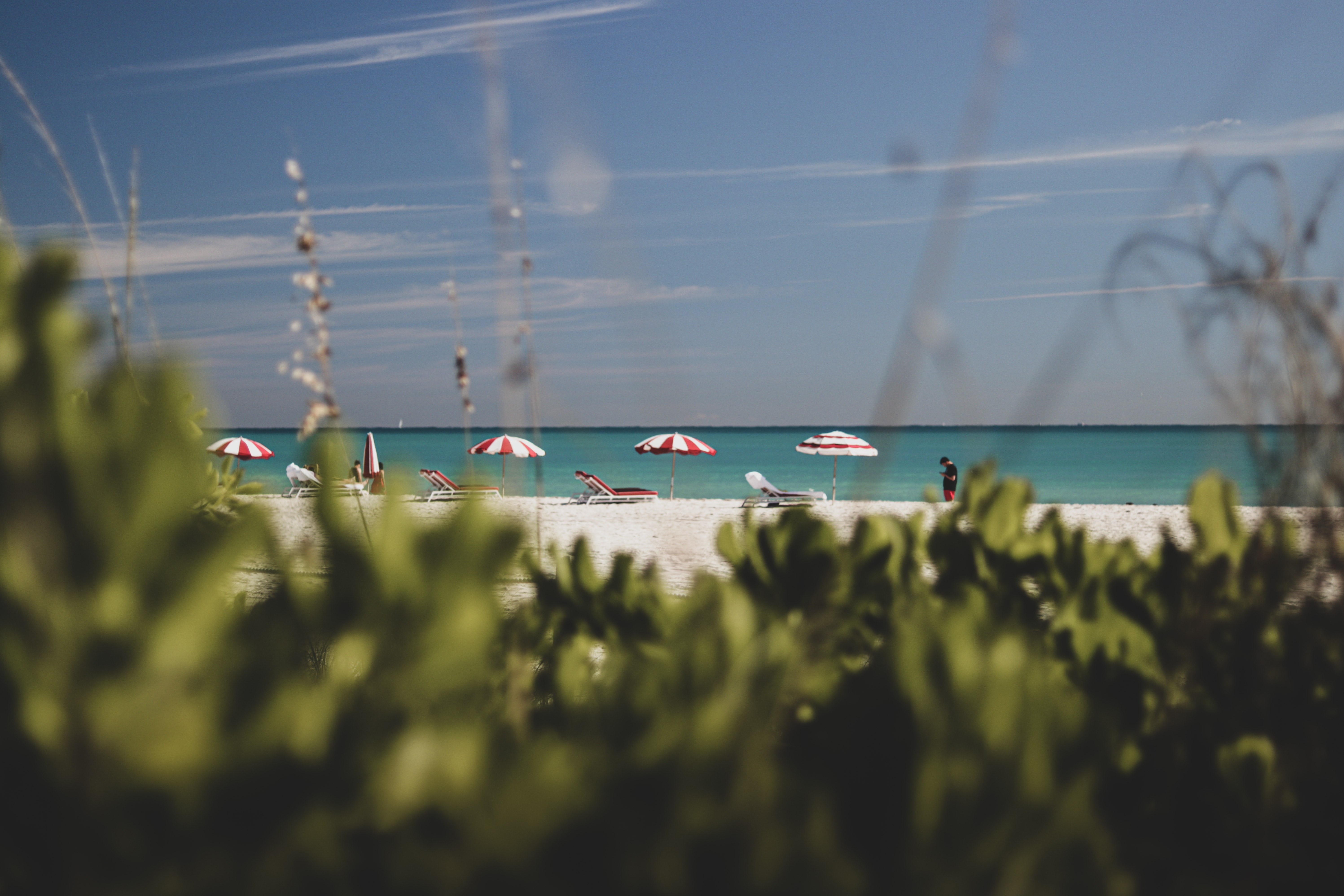 Savvy Realtors | SWFL Real Estate Team in Punta Gorda, FL (3)