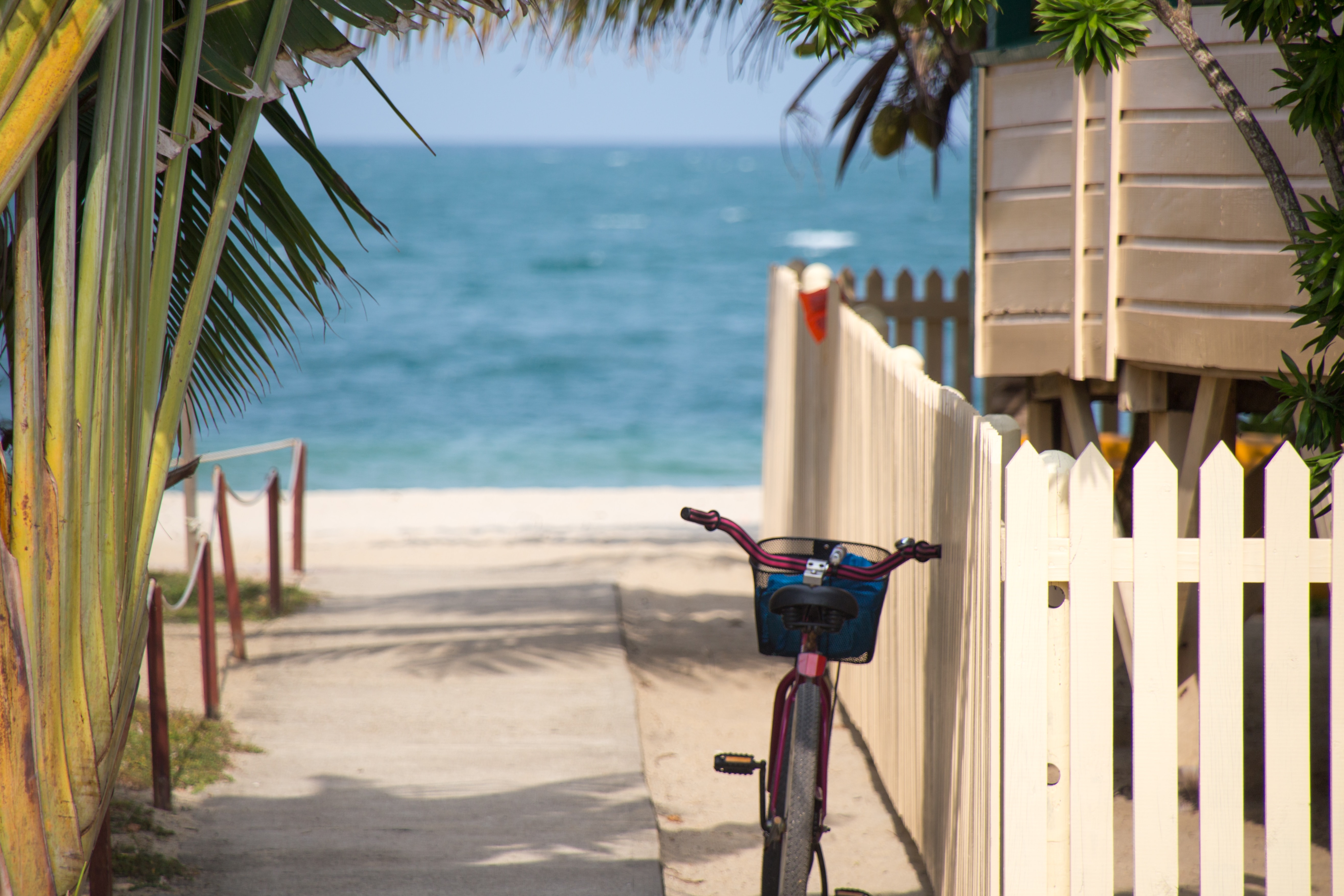 Savvy Realtors | SWFL Real Estate Team in Punta Gorda, FL (4)