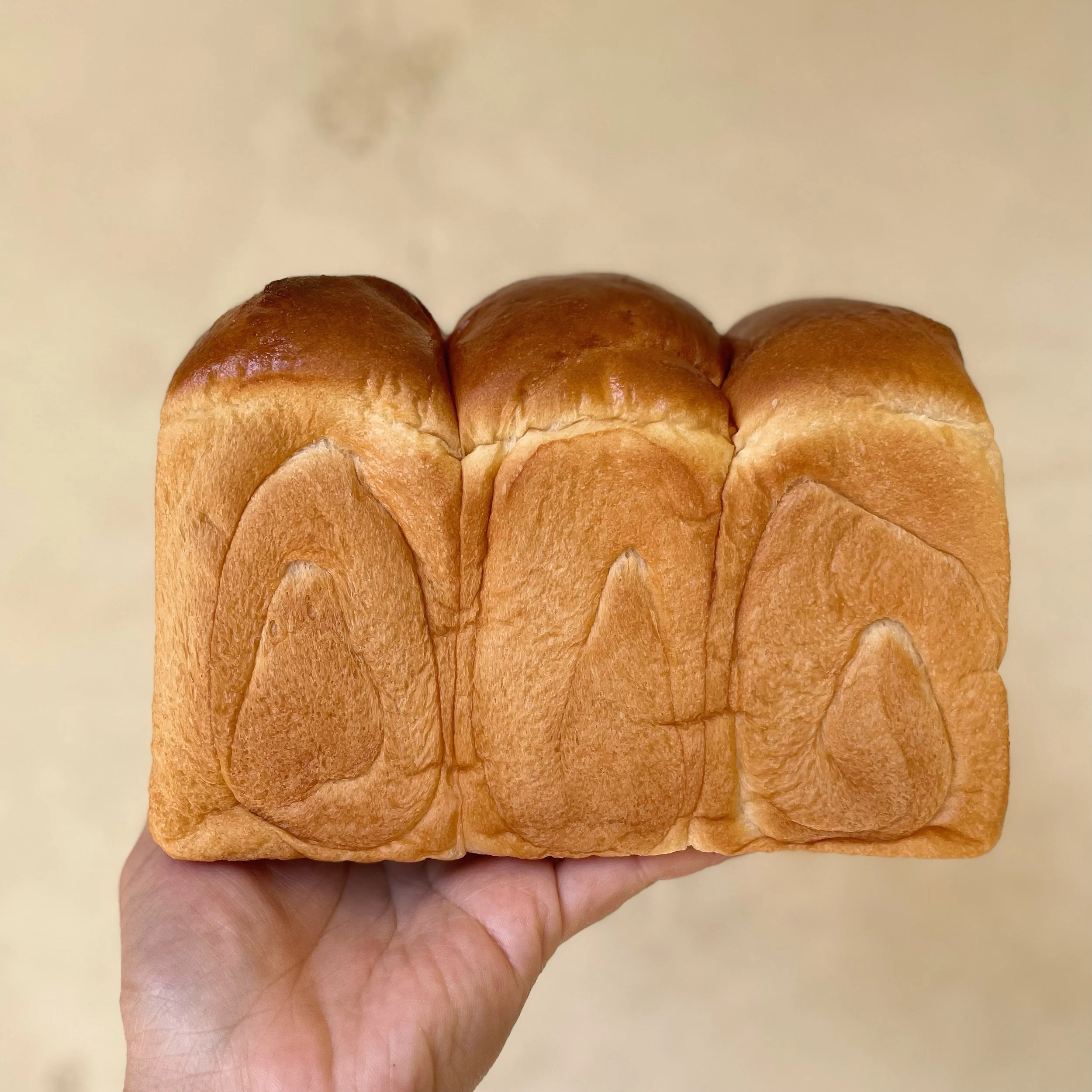 Milk Belly Bakery in San Jose, CA (4)