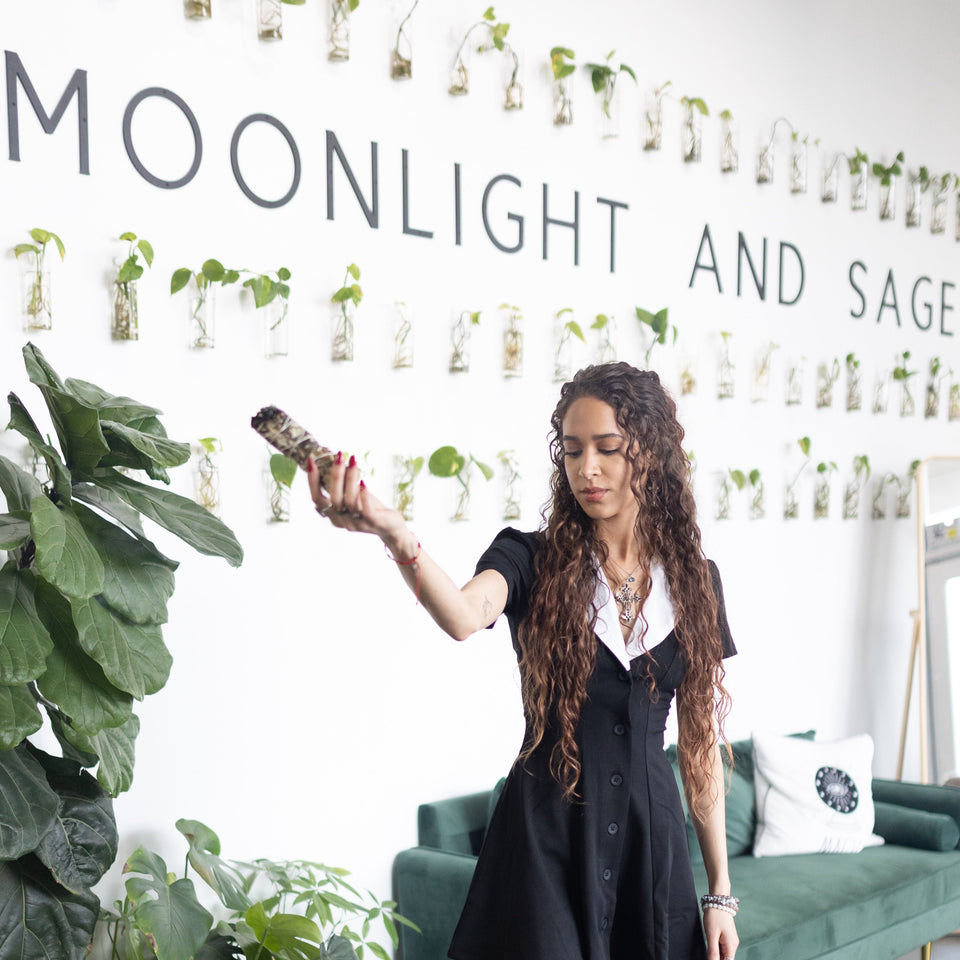 Moonlight and Sage in Oceanside, CA (5)