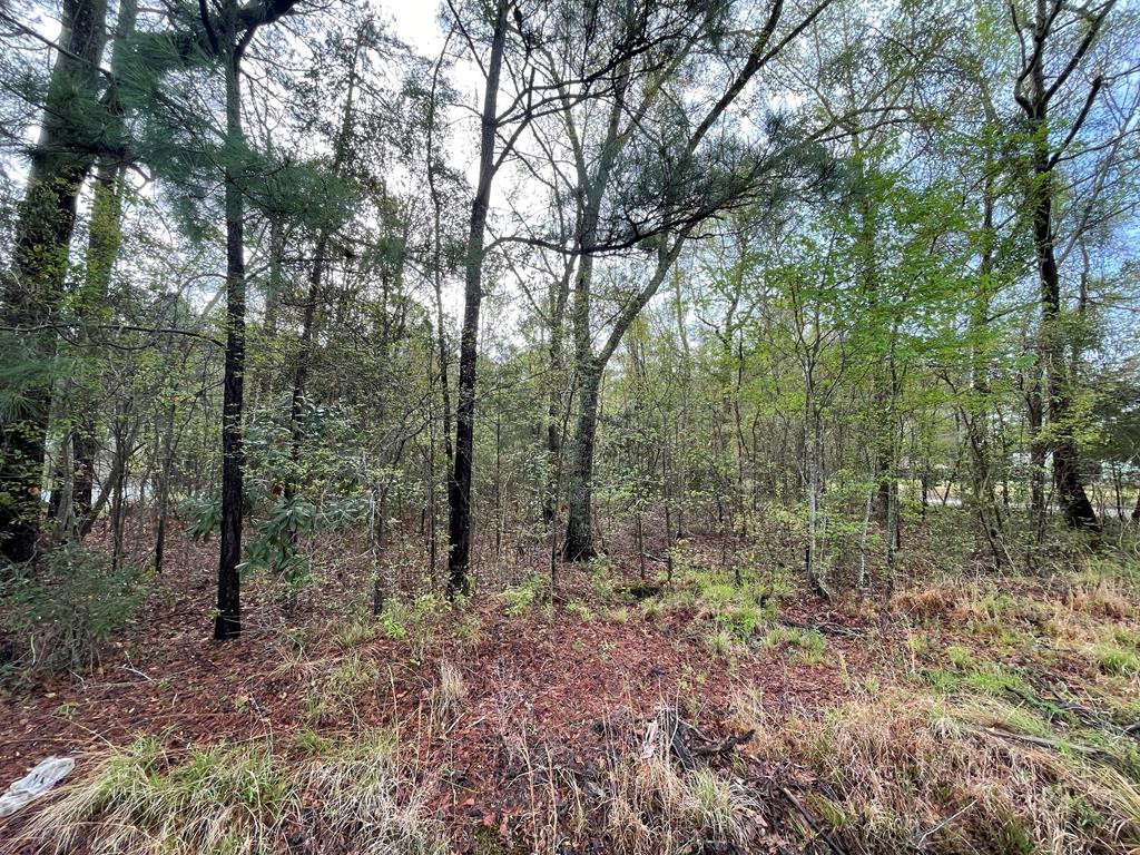 BrownstoneHunt Real Estate in Sumter, SC (4)