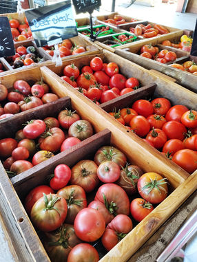 Delta Farmers Market by the Tower in Isleton, CA (3)