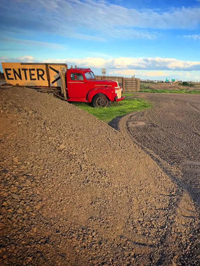 Delta Farmers Market by the Tower in Isleton, CA (4)