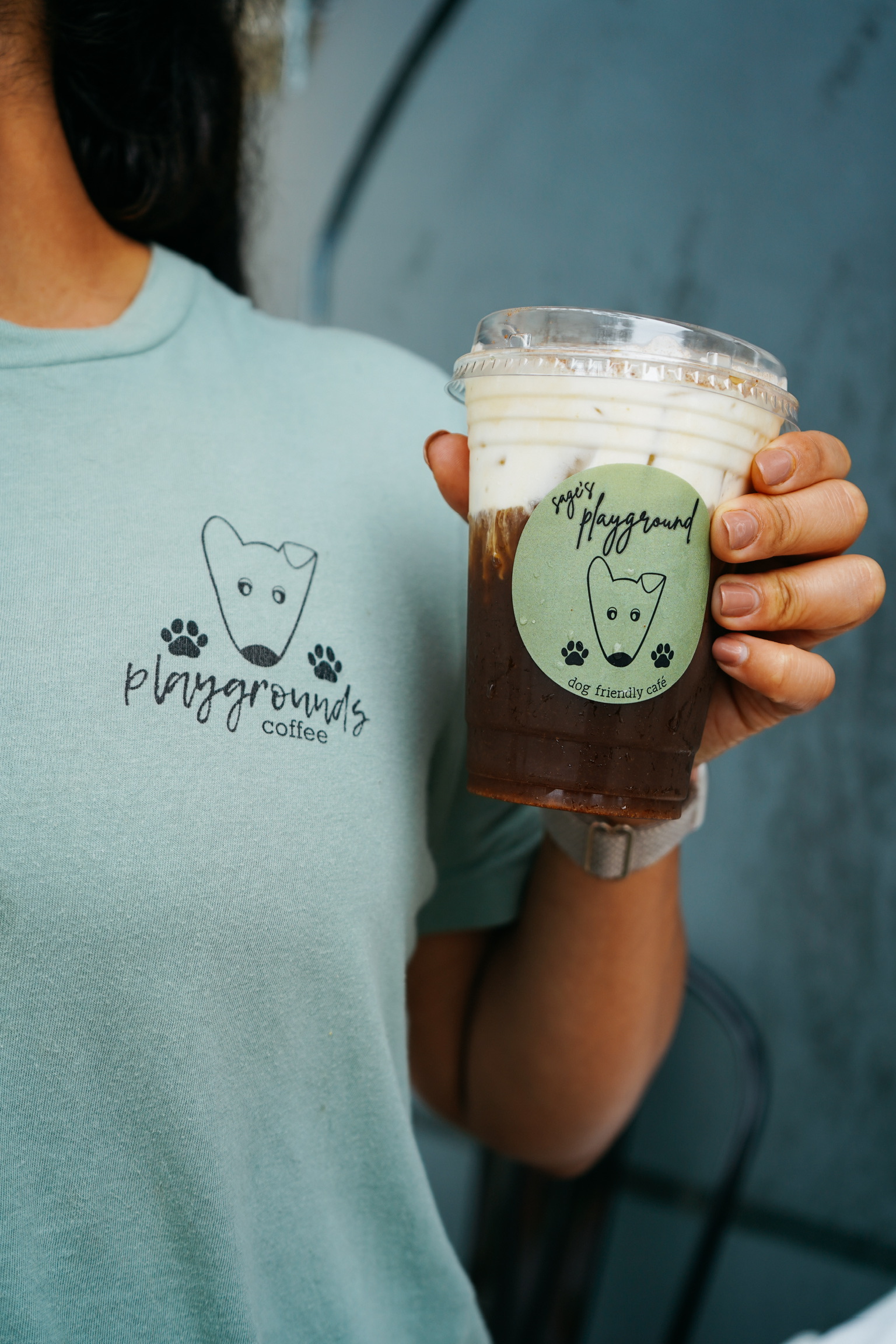 Sage's Playground in St. Petersburg, FL (2)