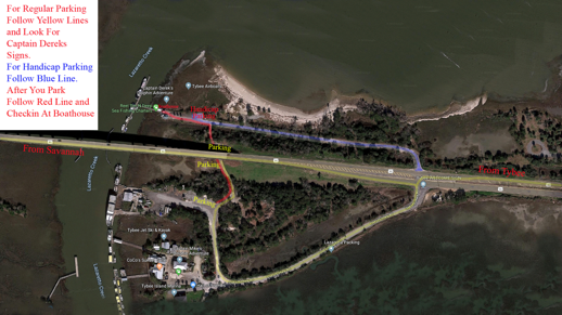 Captain Derek's Dolphin Adventure in Tybee Island, GA (4)