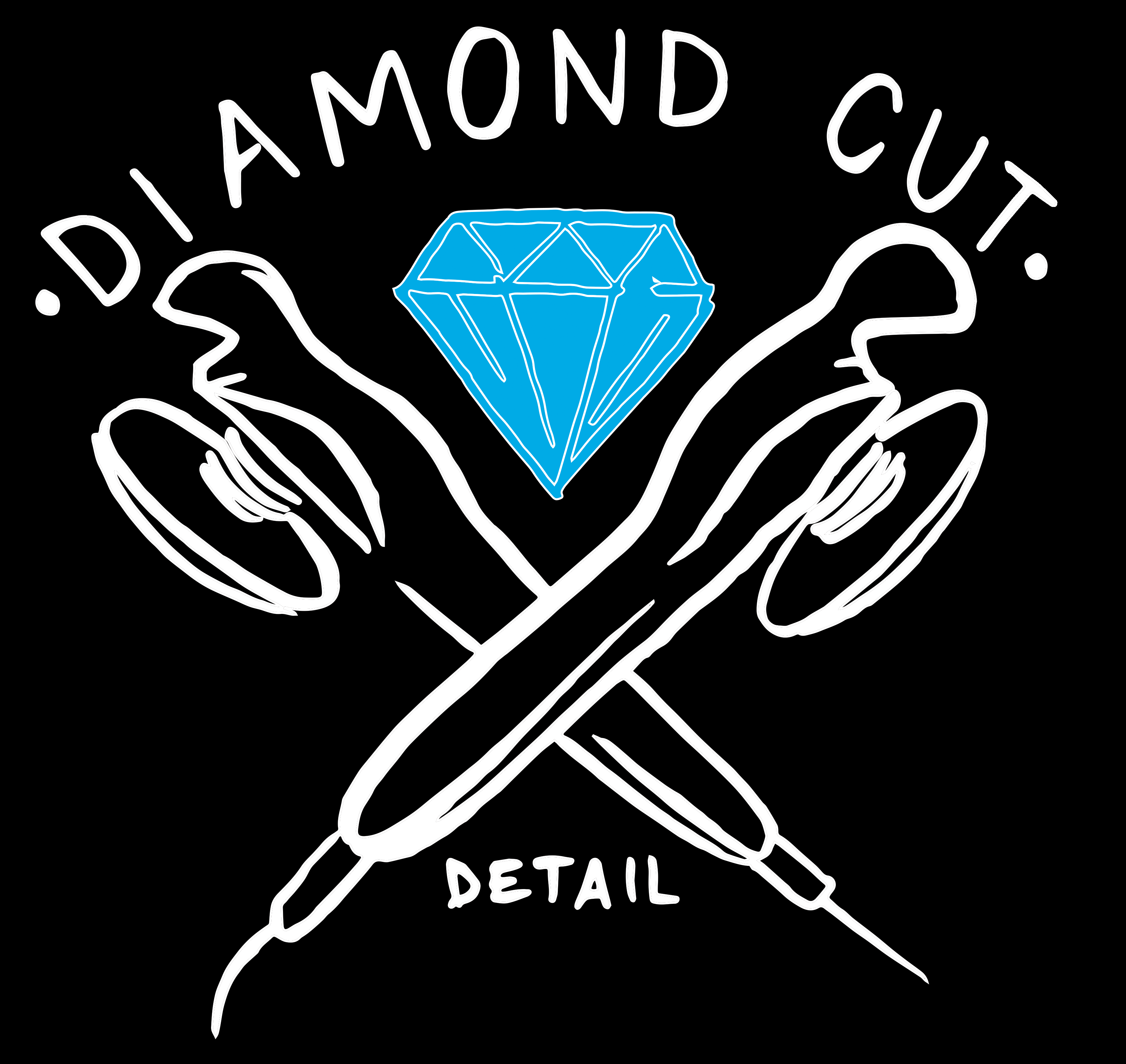 Diamond Cut Detail LLC in Skippack, PA (4)