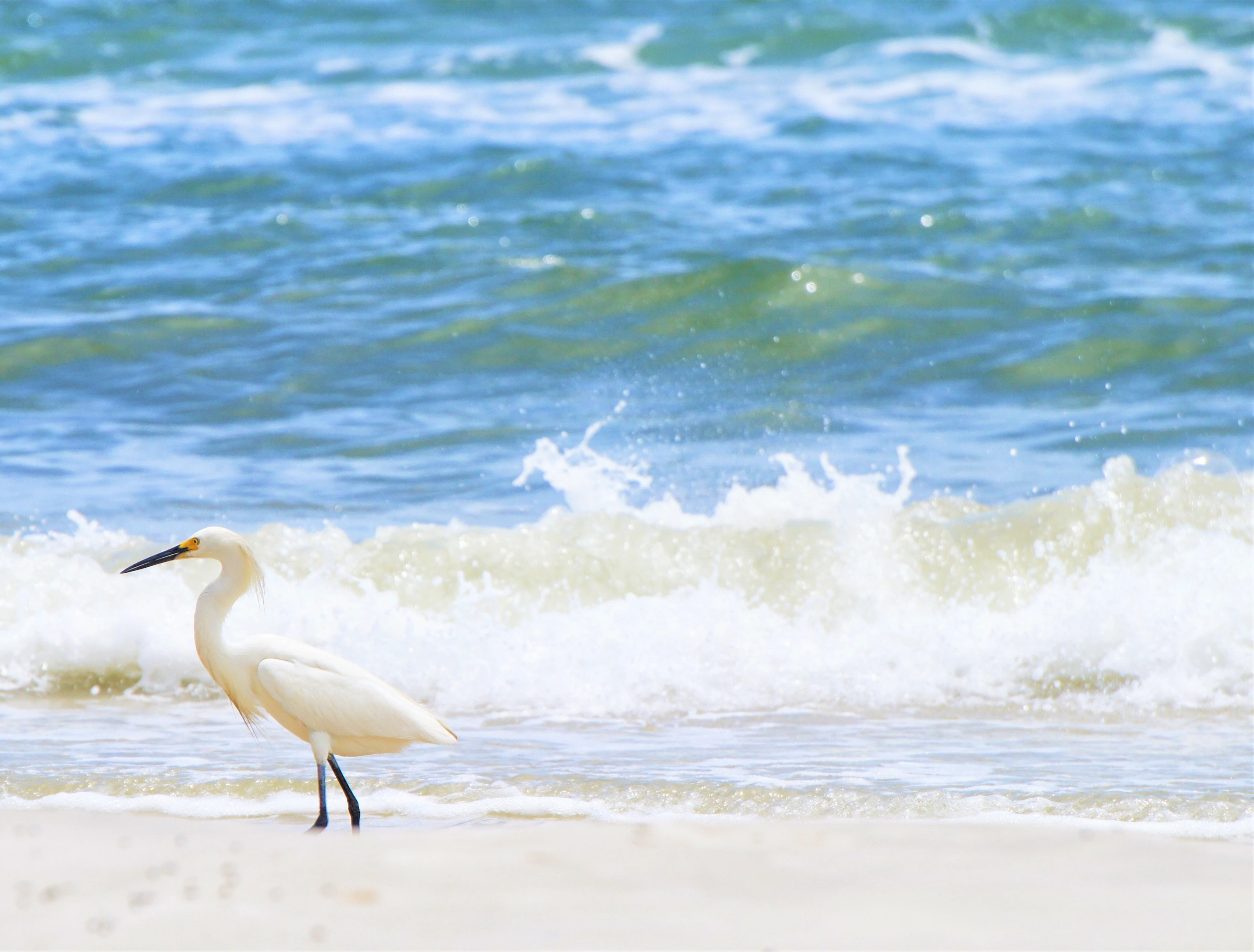Port Realty Group in Port St Joe, FL (2)
