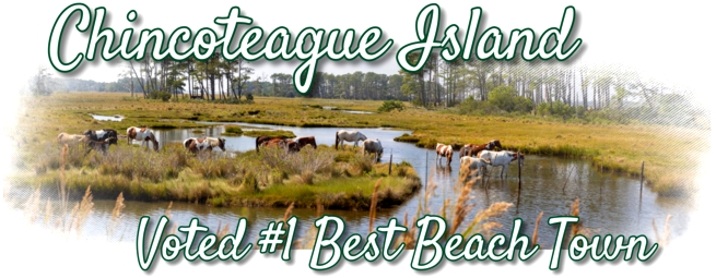 Beach Bay Realty in Chincoteague, VA