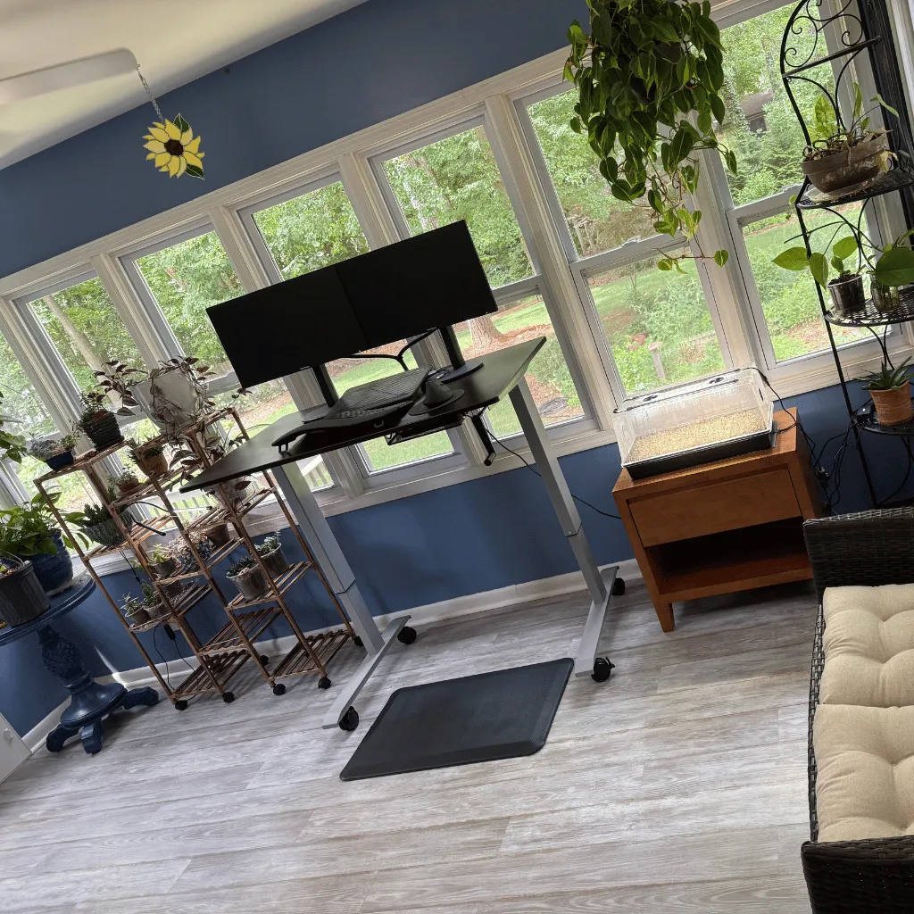 Ivory Pines Cleaning in Raleigh, NC