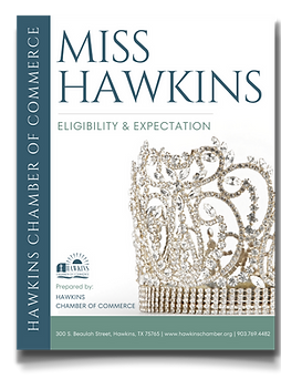 Hawkins Area Chamber-Commerce in Hawkins, TX (2)