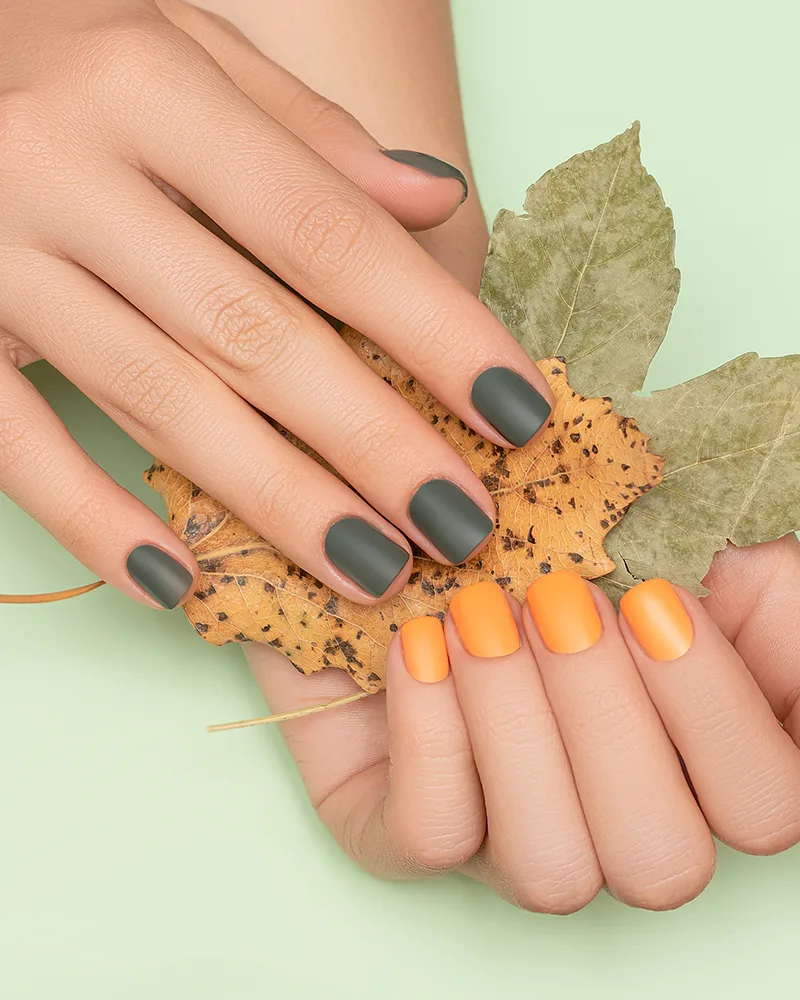 Organic Nail & Spa in Athens, GA (2)