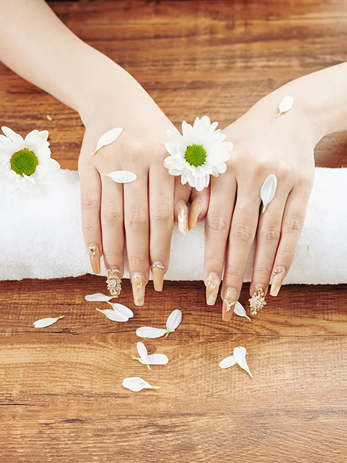 Organic Nail & Spa in Athens, GA (4)