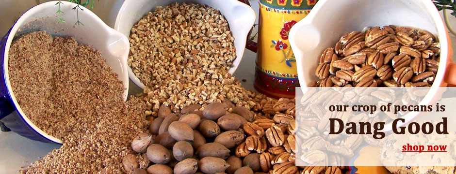 Valley Pecans in Chillicothe, TX (6)
