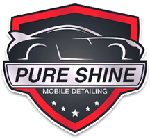 Pure Shine Mobile Detail in Estero, FL (4)