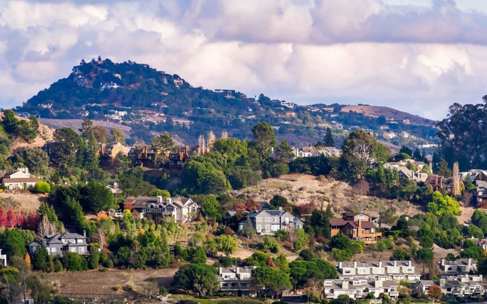 Chris DeNike | Marin County Luxury Real Estate Agent ~ SOTHEBY'S INTERNATIONAL RE in Corte Madera, CA (3)