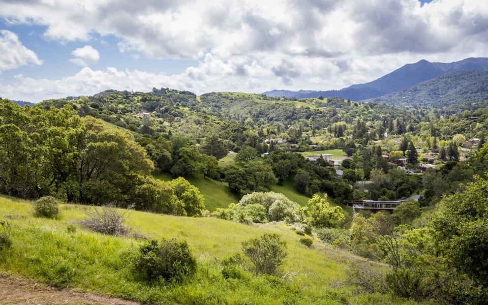 Chris DeNike | Marin County Luxury Real Estate Agent ~ SOTHEBY'S INTERNATIONAL RE in Corte Madera, CA (4)