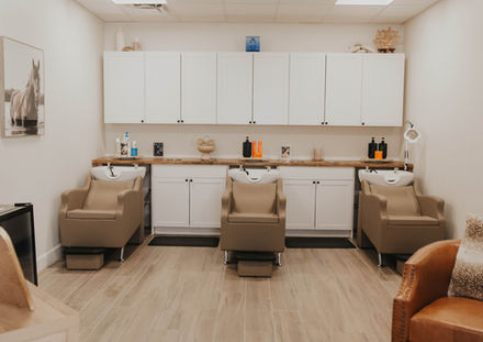 Branded Roots & Co. Salon in Winter Garden, FL (5)