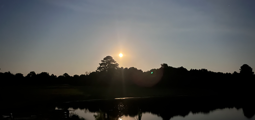 McGee Realty Services in Florence, MS (2)