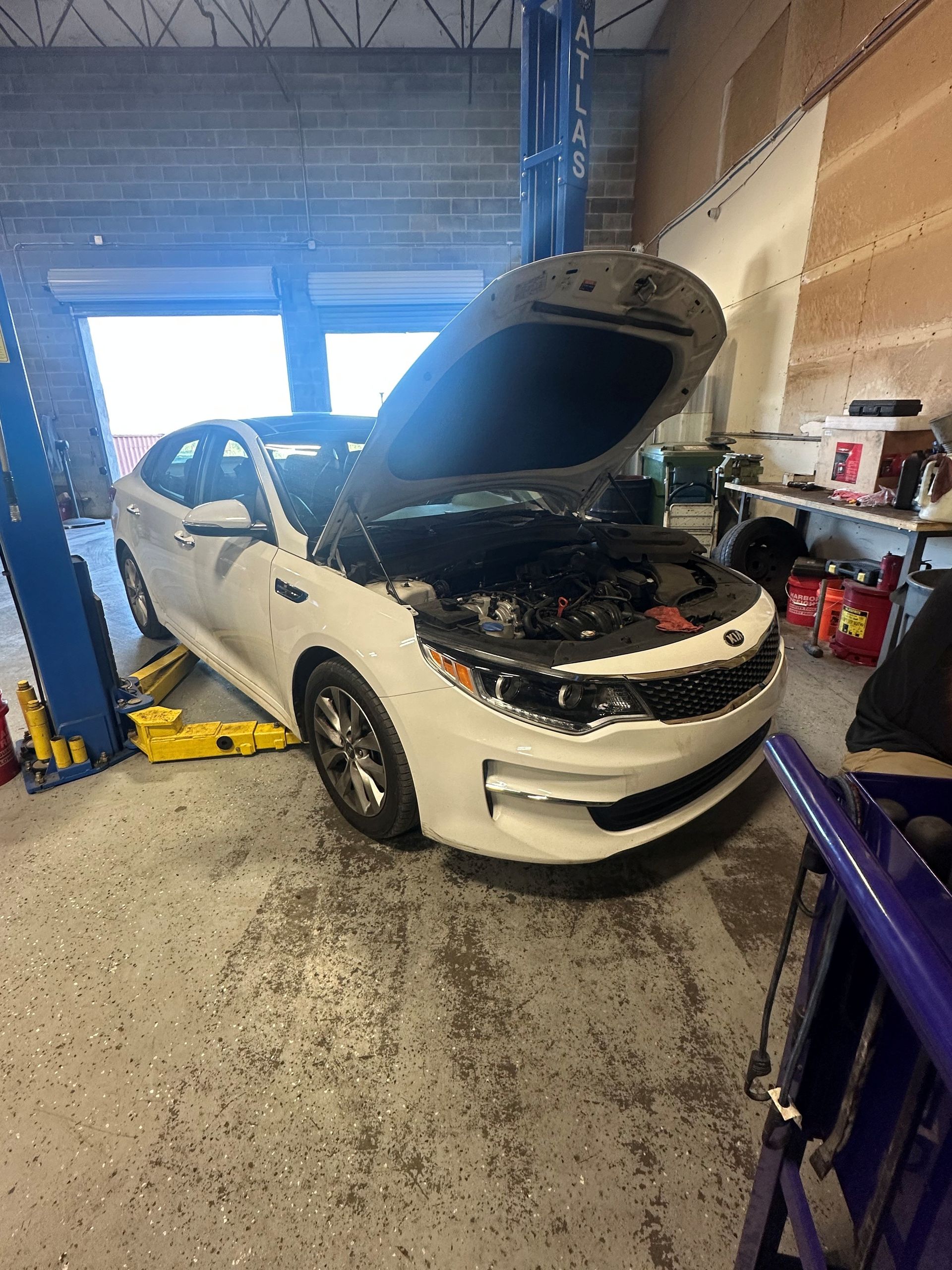 Lug Nutz Automotive in Cartersville, GA (3)
