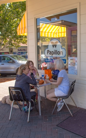Papillon Quality Gourmet in Lafayette, CA (2)