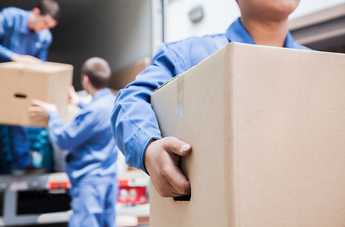 Reed's Moving & Storage LLC - Naples, FL in Naples, FL