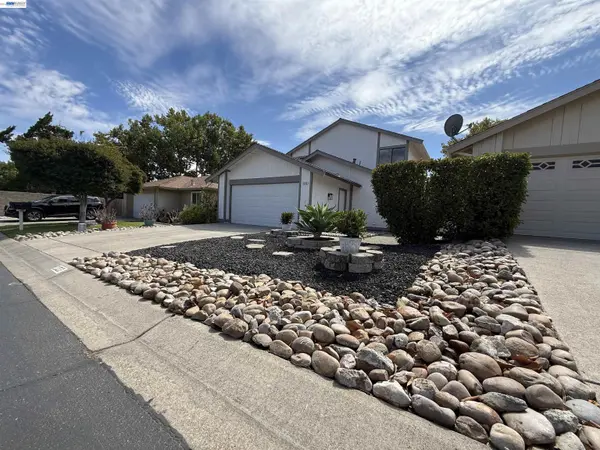 Ray J. Marquez - Danville Luxury Realtor in San Ramon, CA