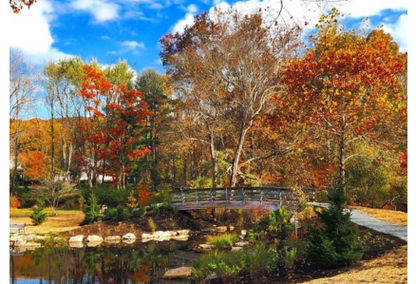 Kaitlyn Siracusa Christie's International Real Estate Group in Morristown, NJ (3)